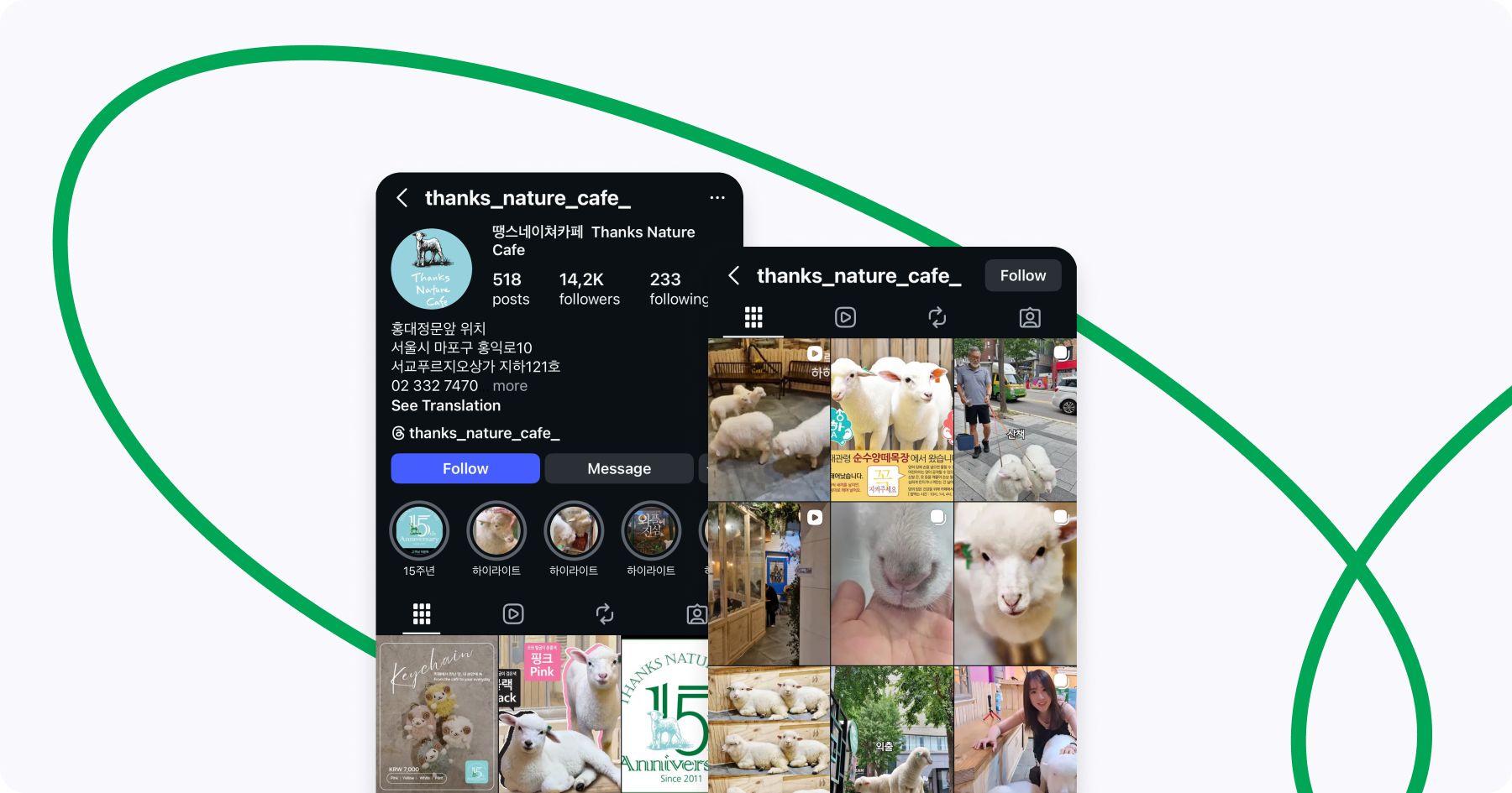 Unique Cafes in Seoul for Animal Lovers.jpg